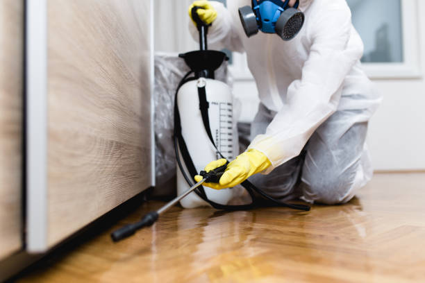 Best Pest Prevention Services  in Toledo, IA