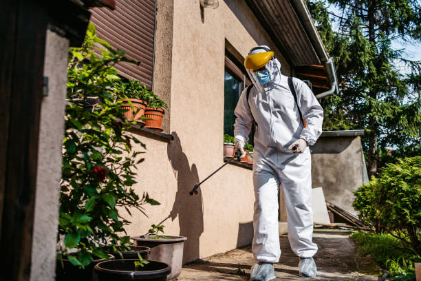 Best Wasp Removal Services  in Toledo, IA