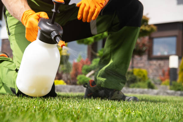 Best Affordable Pest Control Services  in Toledo, IA