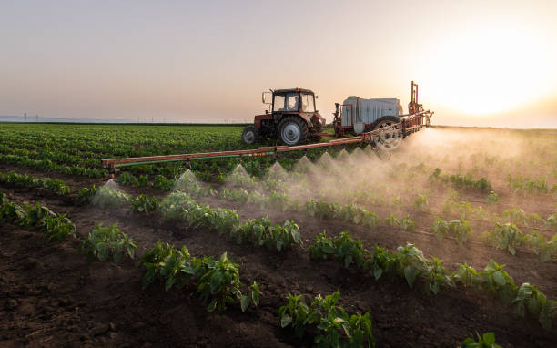 Best Pest Removal Services  in Toledo, IA
