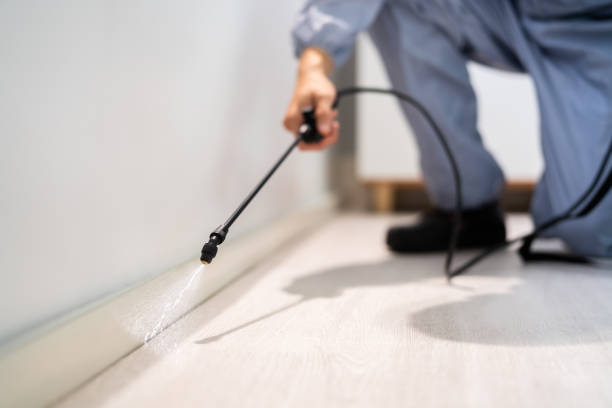 Best Residential Pest Control  in Toledo, IA