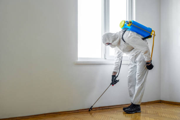 Best Bed Bug Extermination  in Toledo, IA