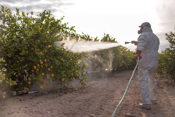 Professional Pest Control in Toledo, IA