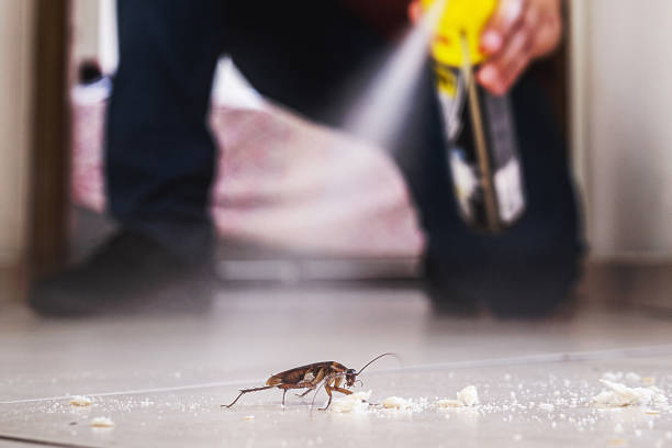 Best Emergency Pest Control  in Toledo, IA